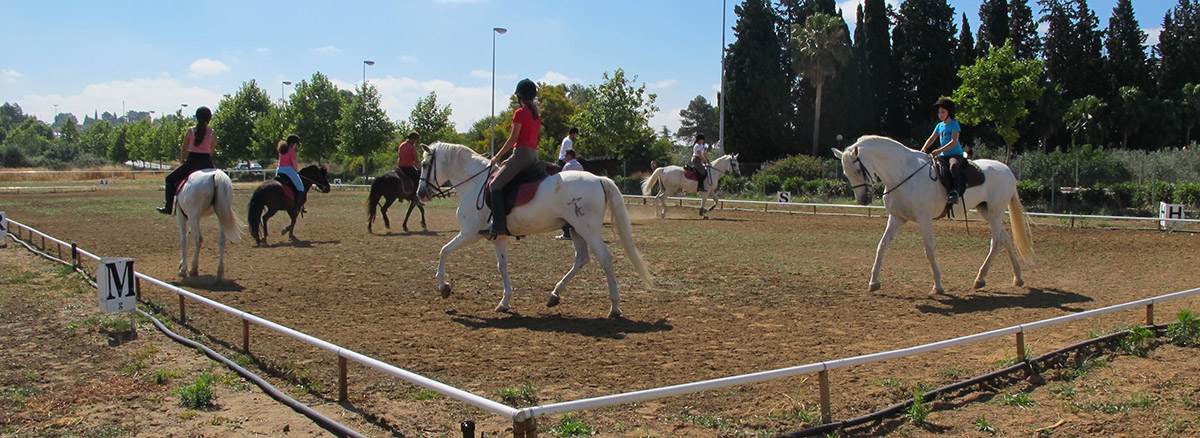 Clases de equitación. Cursos de hípica en verano, con ponis y caballos, para todas las edades.