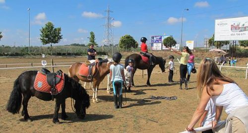 Clases de equitación. Cursos de hípica en verano, con ponis y caballos.