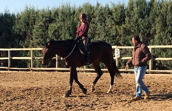 Entrenamiento a medida con el caballo en la Escuela Hípica Riopudio. Espartinas, Sevilla.